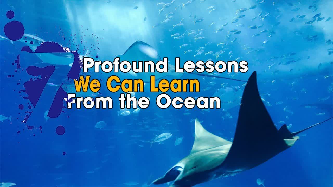 The seven profound lessons that we can learn from the sea  - considered as wisdom for our life