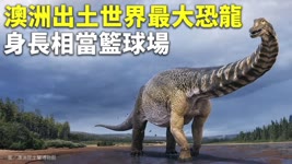 澳洲出土世界最大恐龍 身長相當籃球場 - 恐龍研究 - 國際新聞