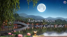 Peaceful Zither Music Takes You to a Beautiful Moonlit Lake | Musical Moments