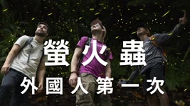 外國人第一次在台灣看螢火蟲