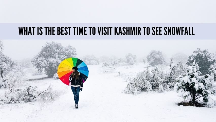 What is the BEST TIME to visit Kashmir to see SNOWFALL 🥶