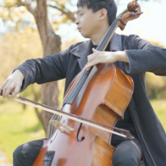 YoYo Cello