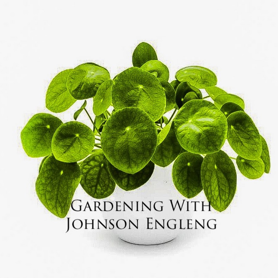 Gardening With Johnson Engleng