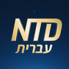 עברית NTD